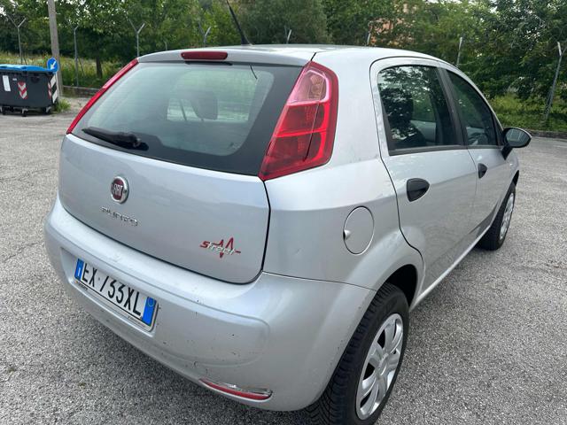 FIAT Punto 1.4 8V 5 porte Natural Power Lounge Immagine 4