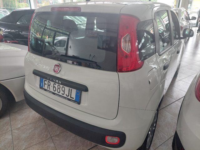 FIAT Panda 1.2 Easy Immagine 2