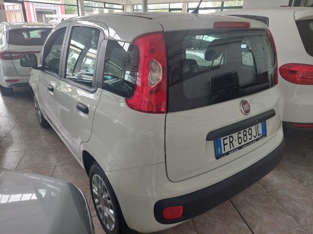 FIAT Panda 1.2 Easy Immagine 3