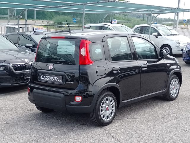 FIAT Panda 1.0 Gpl/B FireFly S&S Immagine 4