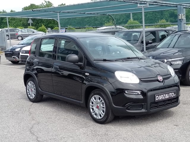 FIAT Panda 1.0 Gpl/B FireFly S&S Immagine 2