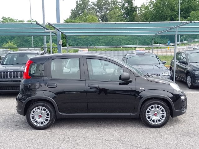 FIAT Panda 1.0 Gpl/B FireFly S&S Immagine 3