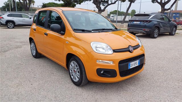 FIAT Panda 3ª serie  1.0 FireFly S&S Hybrid Immagine 0