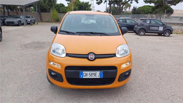 FIAT Panda 3ª serie  1.0 FireFly S&S Hybrid Immagine 1