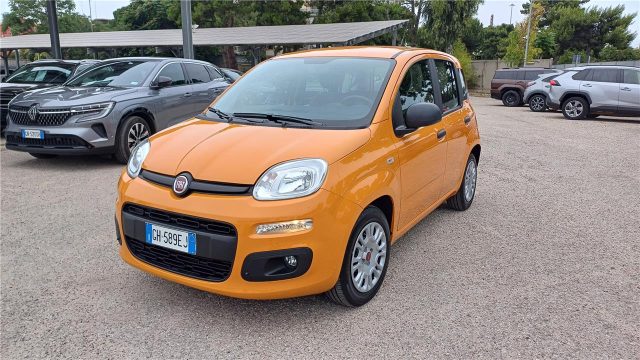 FIAT Panda 3ª serie  1.0 FireFly S&S Hybrid Immagine 2