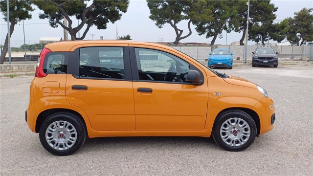 FIAT Panda 3ª serie  1.0 FireFly S&S Hybrid Immagine 3