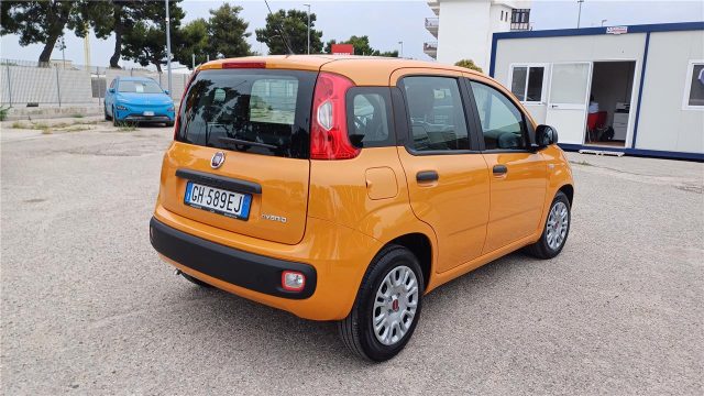 FIAT Panda 3ª serie  1.0 FireFly S&S Hybrid Immagine 4