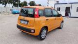 FIAT Panda 3ª serie  1.0 FireFly S&S Hybrid