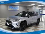 TOYOTA RAV 4 2.5 VVTie Hybrid 218cv FWD Style E-CVT EU6