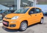 FIAT Panda 1.2 Easy IDEALE PER NEO PATENTATI, IVA ESPOSTA