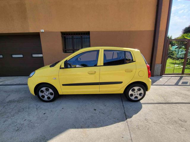 KIA Picanto 1.0 12V Easy  NEOPATENTATO OK Immagine 3