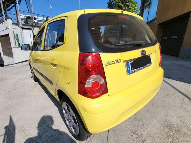 KIA Picanto 1.0 12V Easy  NEOPATENTATO OK Immagine 4