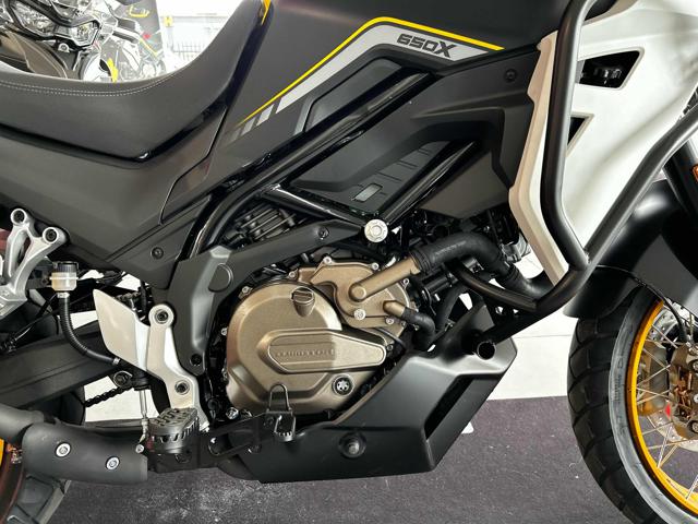 QJ MOTOR SVT 650X Bianco/Giallo **PRONTA CONSEGNA** Immagine 4