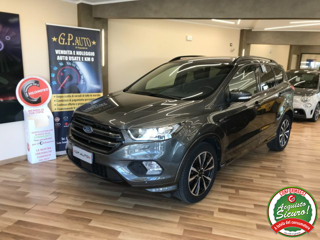 FORD Kuga 1.5 TDCI 120 CV S&S 2WD Powershift ST-Line Immagine 0