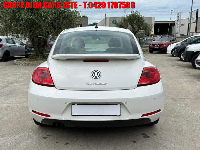 VOLKSWAGEN Maggiolino 1.6 TDI Design Immagine 2