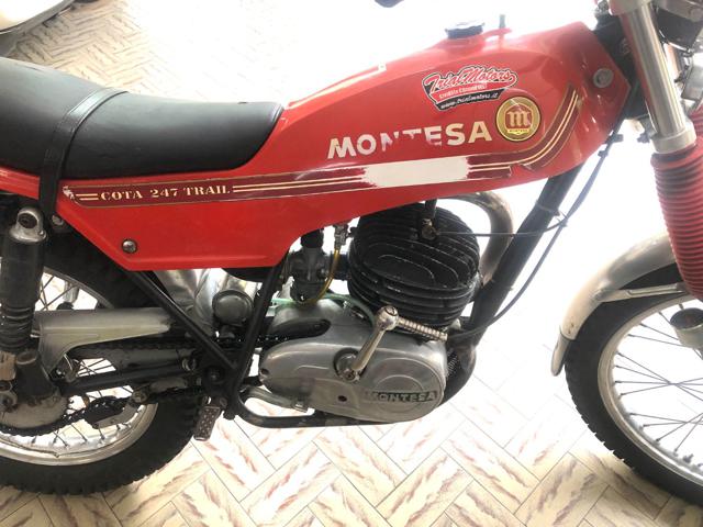 MONTESA Cota 247 COTA 247 Immagine 3