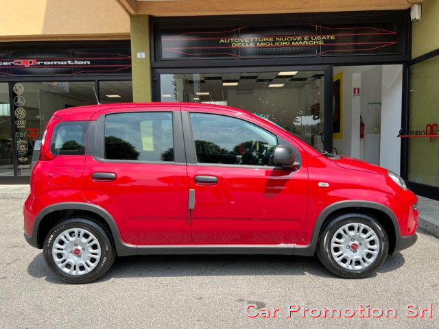 FIAT Panda 1.0 FireFly S&S Hybrid Immagine 1