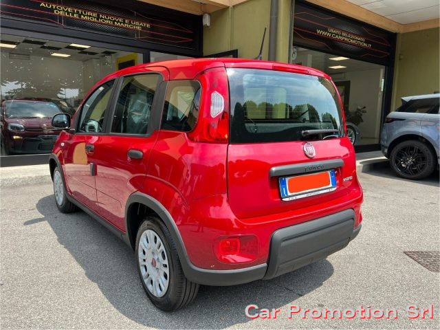 FIAT Panda 1.0 FireFly S&S Hybrid Immagine 2