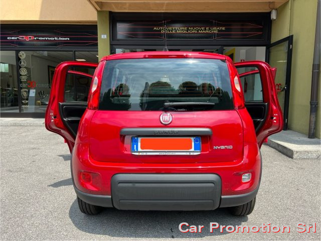 FIAT Panda 1.0 FireFly S&S Hybrid Immagine 3