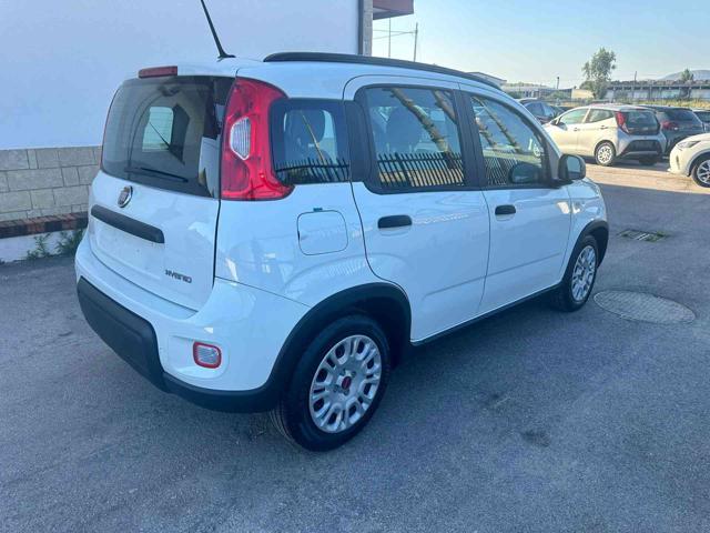 FIAT Panda 1.0 FireFly S&S Hybrid City Life Immagine 1