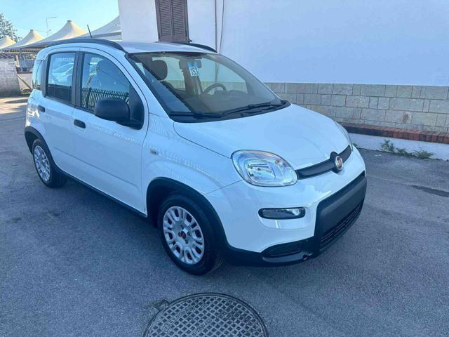 FIAT Panda 1.0 FireFly S&S Hybrid City Life Immagine 0