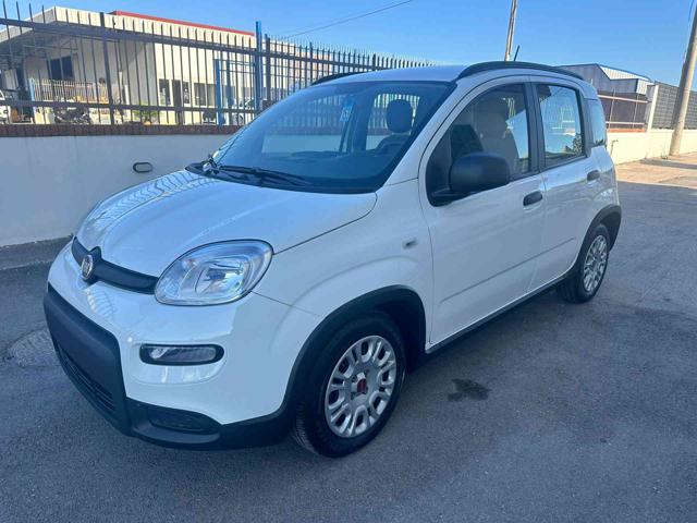 FIAT Panda 1.0 FireFly S&S Hybrid City Life Immagine 3