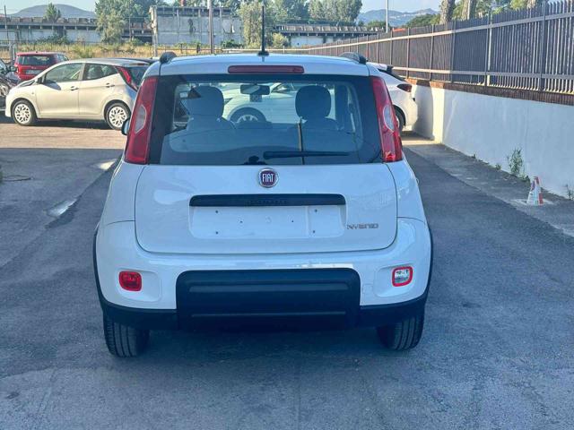 FIAT Panda 1.0 FireFly S&S Hybrid City Life Immagine 4