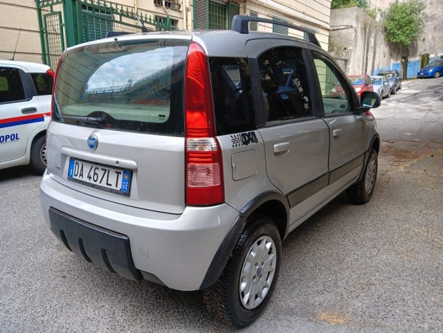 FIAT Panda 1.2 4x4 Climbing Immagine 2