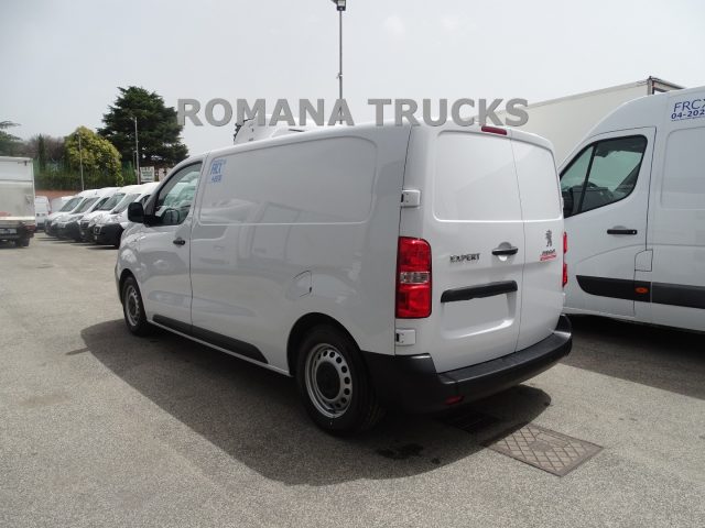 PEUGEOT Expert COIBENTATO + FRIGO TRASPORTO CARNI GANCIERA Immagine 4