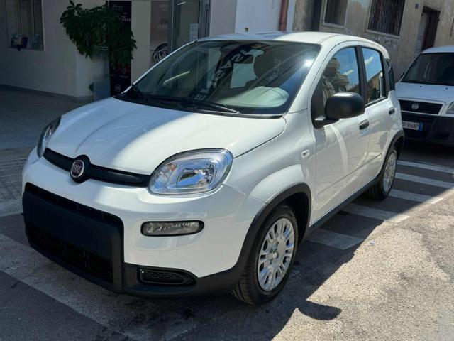 FIAT Panda 1.0 FireFly S&S Hybrid Pandina Immagine 2