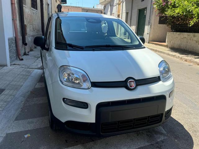 FIAT Panda 1.0 FireFly S&S Hybrid Pandina Immagine 0