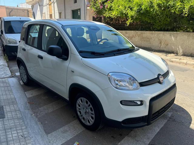 FIAT Panda 1.0 FireFly S&S Hybrid Pandina Immagine 1