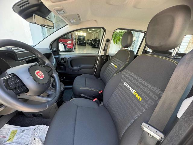 FIAT Panda 1.0 FireFly S&S Hybrid Pandina Immagine 4