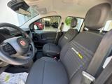 FIAT Panda 1.0 FireFly S&S Hybrid Pandina