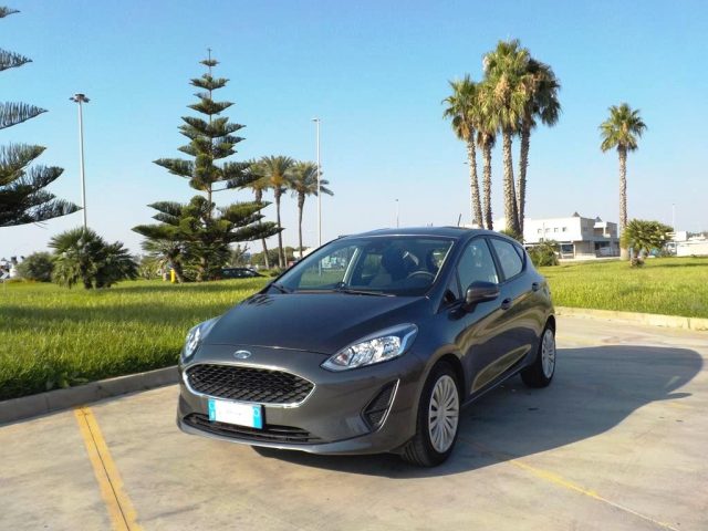 FORD Fiesta 1.5 TDCi 5 porte Plus Immagine 0