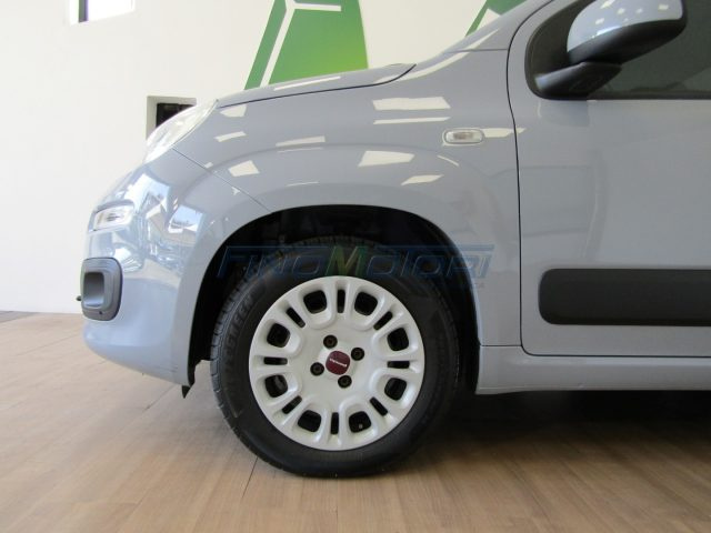 FIAT Panda 1.2 69 CV Lounge 5 POSTI Immagine 4