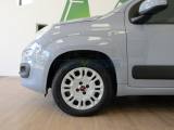 FIAT Panda 1.2 69 CV Lounge 5 POSTI