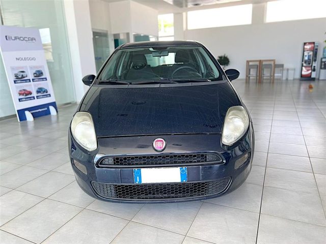 FIAT Punto 1.3 mjt Street Immagine 4