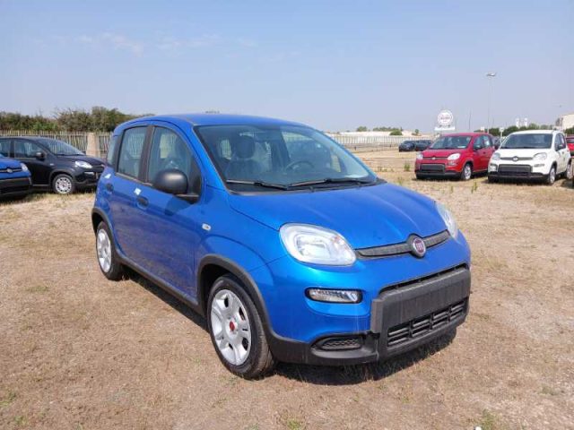 FIAT Panda My23 1.0 70cv Hybrid Immagine 2