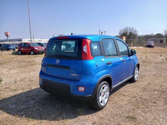 FIAT Panda My23 1.0 70cv Hybrid Immagine 3