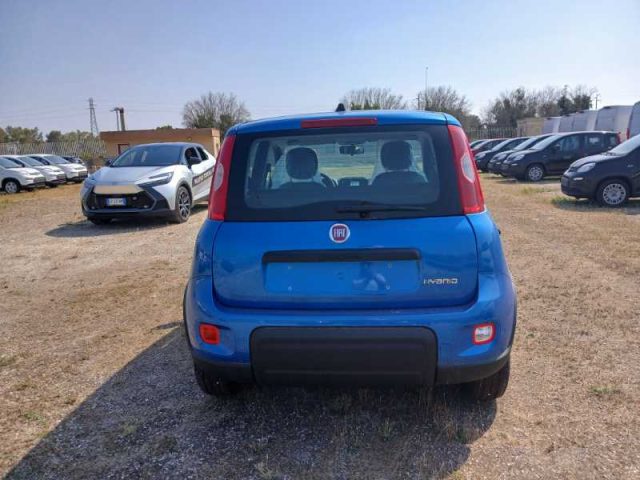 FIAT Panda My23 1.0 70cv Hybrid Immagine 4