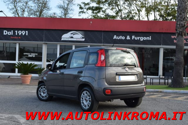 FIAT Panda 1.2 Easy 69CV Immagine 2