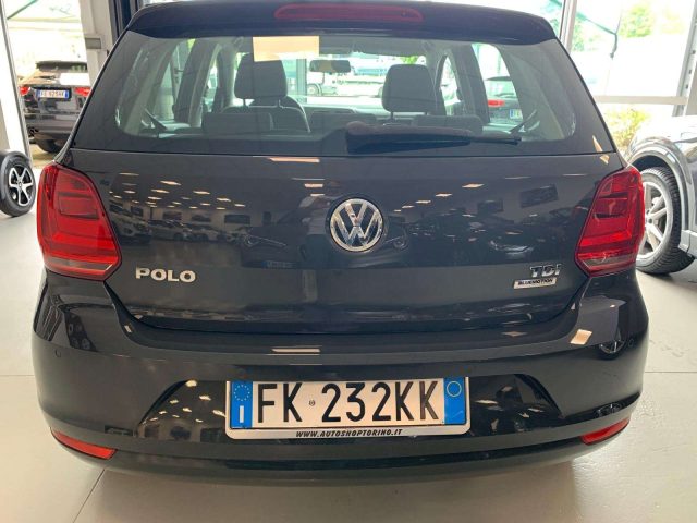 VOLKSWAGEN Polo Polo 5p 1.4 tdi bm75cv neopatentati Immagine 4