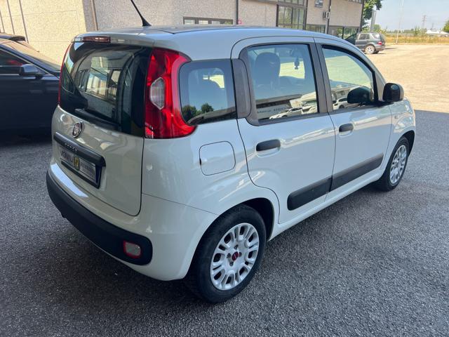 FIAT Panda 1.2 EasyPower Easy Immagine 4