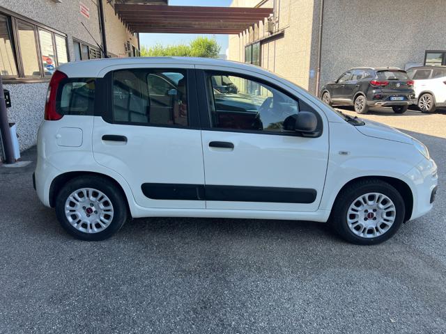 FIAT Panda 1.2 EasyPower Easy Immagine 3