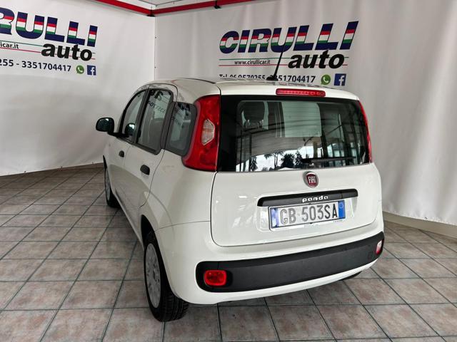 FIAT Panda 1.2 Easy Immagine 3