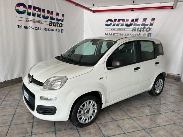 FIAT Panda 1.2 Easy Immagine 1