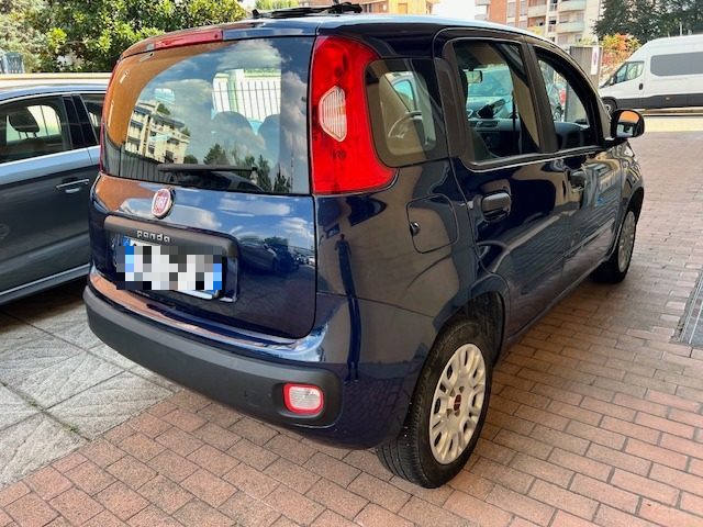 FIAT Panda 1.2 Easy Immagine 3