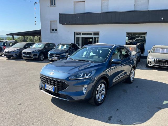 FORD Kuga 1.5 EcoBlue 120 CV 2WD Titanium Immagine 0