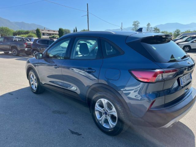 FORD Kuga 1.5 EcoBlue 120 CV 2WD Titanium Immagine 2